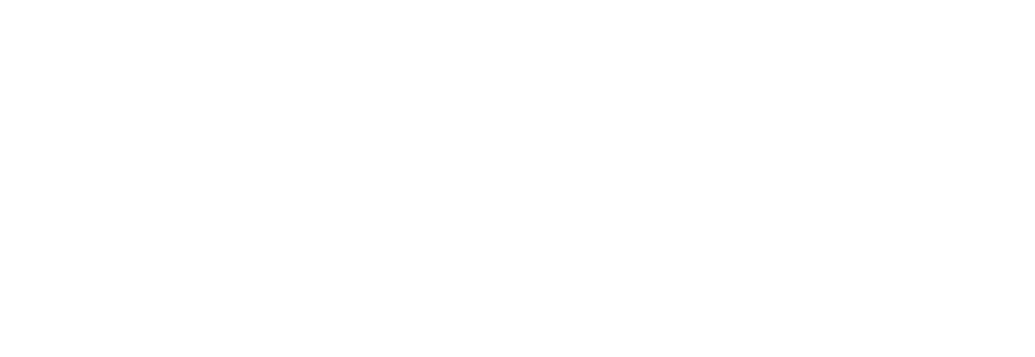 Seagate.webweb.com.vn